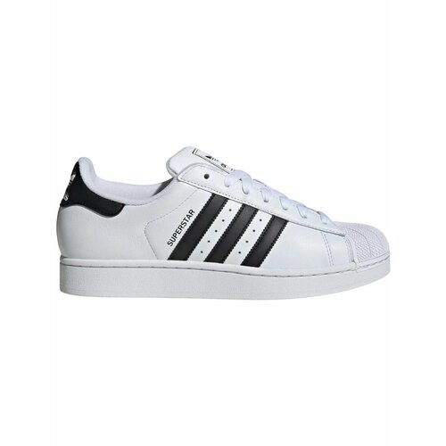 фото Кеды adidas superstar ii, полнота f (eu)/ на среднюю стопу, размер 10 uk, белый