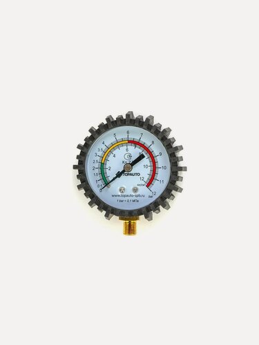 Изображение товара Манометр для пистолета накачки М10*1 (TOPAUTO)