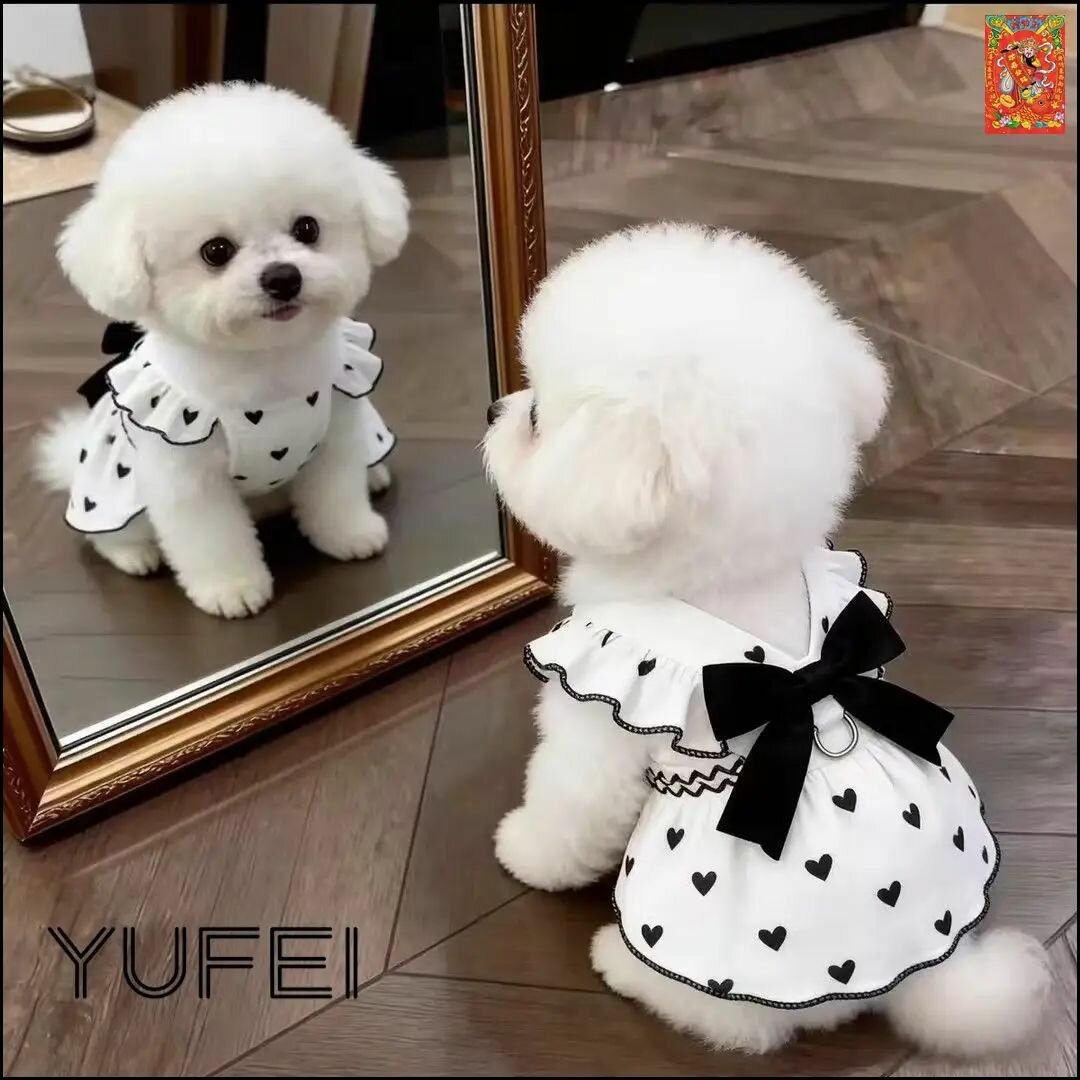 YUFEI Дышащее платье для собак XS, черное, на любой сезон, с возможностью регулировки размера