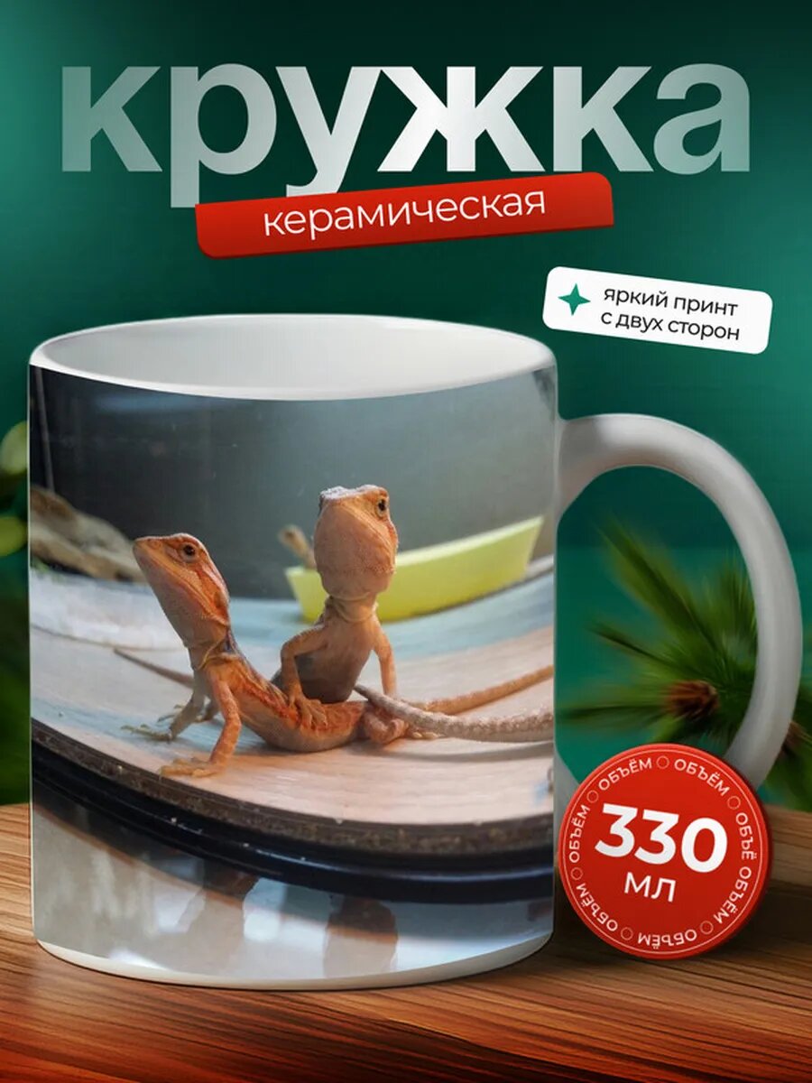 Кружка Агама рептилия 13,