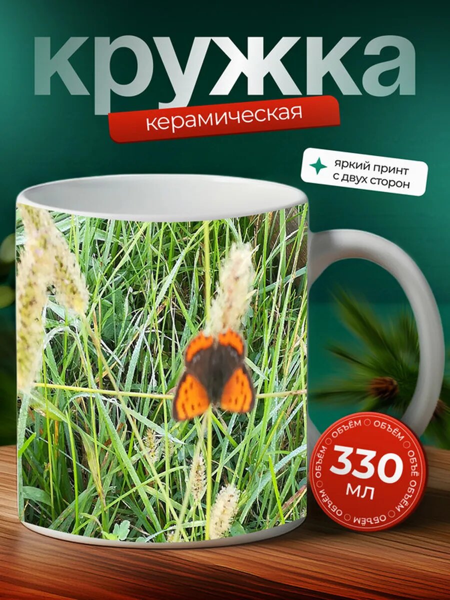 Кружка Дрозофила насекомое 10,