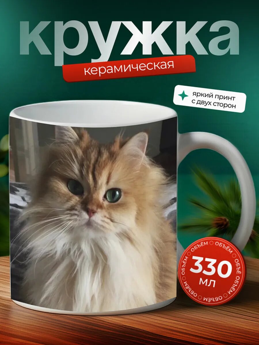 Кружка Американский рингтейл длинношерстный кот 44,