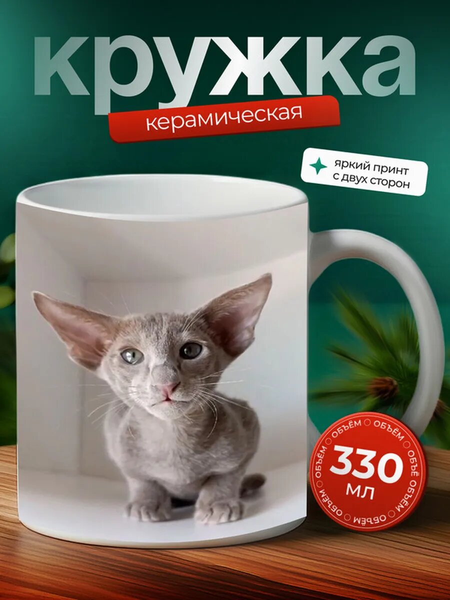 Кружка Американская многоногая кошка 52,