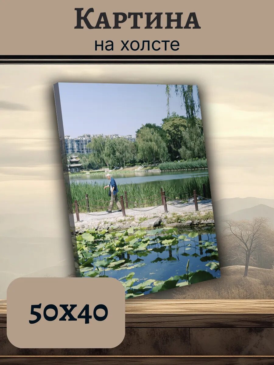 Картина Постер Китай China 40x50 пейзаж с лотосами