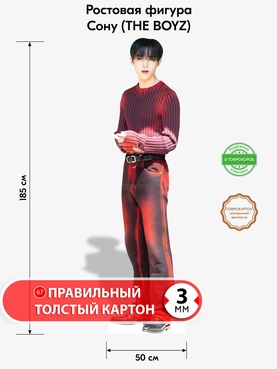 Аксессуар для фотосессий, самое это, Сону (THE BOYZ) 1, k-pop, ростовая фигура