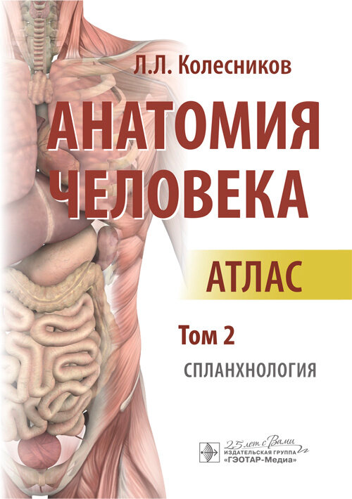 Анатомия человека : атлас : в 3 т. Т. 2. Спланхнология / автор-составитель Л. Л. Колесников. — Москв