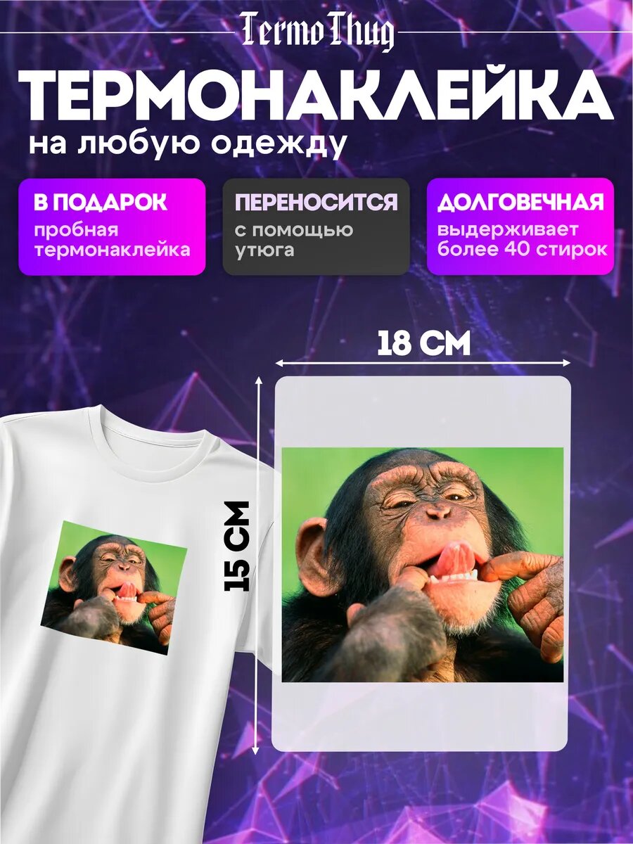 Термонаклейка на одежду млекопитающее примат мем