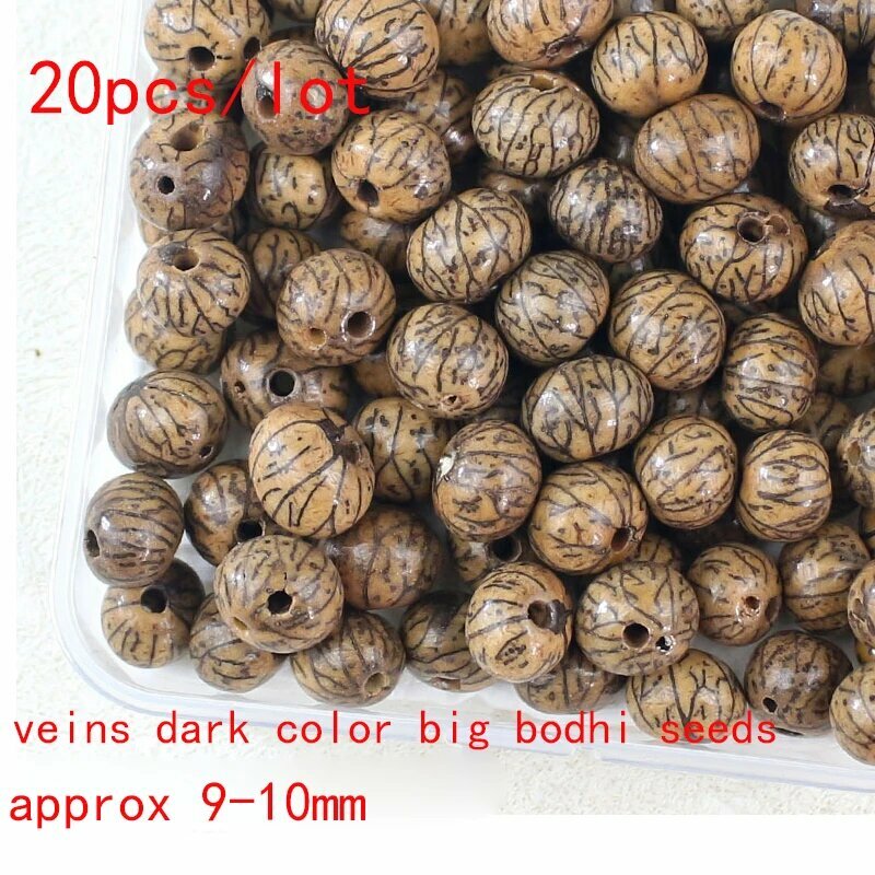 20шт бусин из семян Бодхи, big yinxian