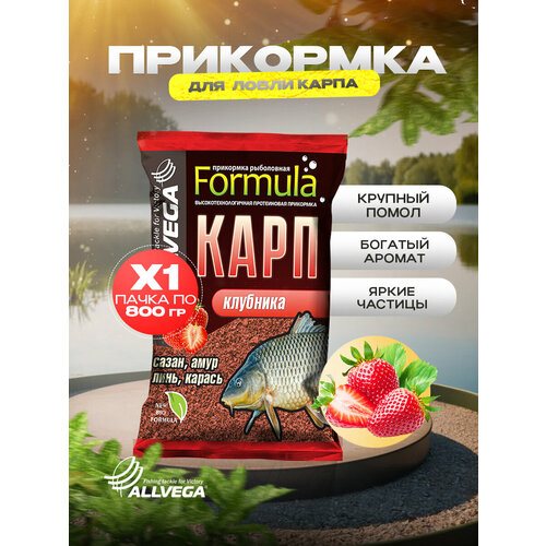 Прикормка для рыбалки ALLVEGA Formula Карп клубника 1 пачка 0,8кг