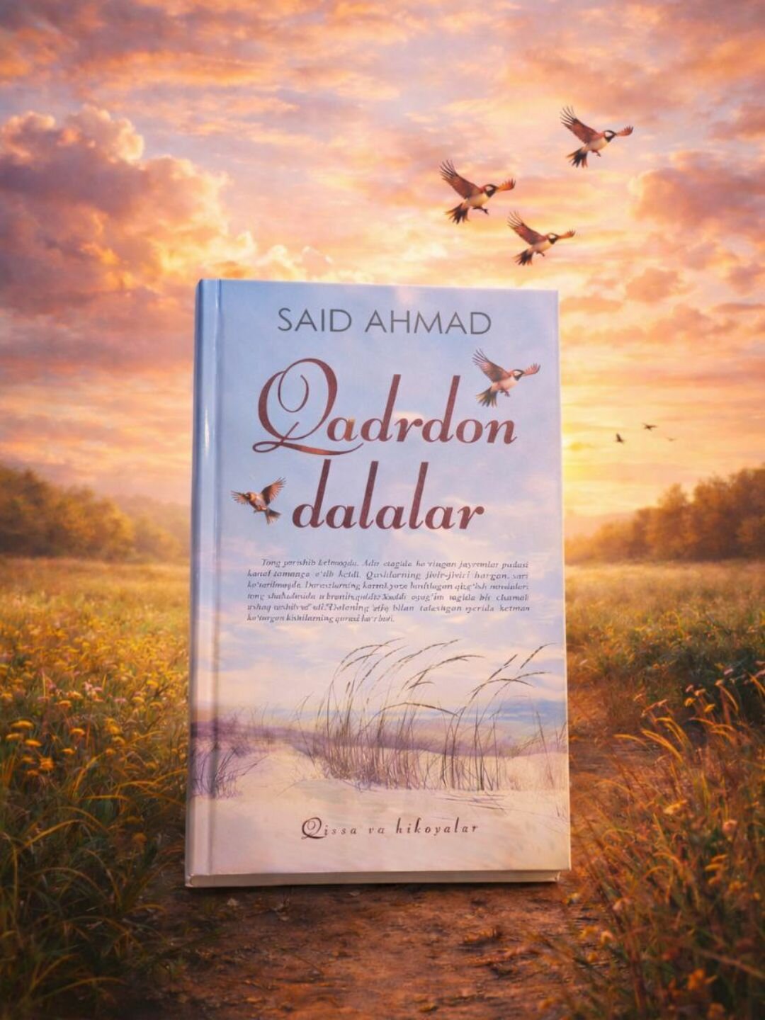Книга, Кадрдон далалар, Саид Ахмад, Кисса ва хикоялар, на узбекском, латиница