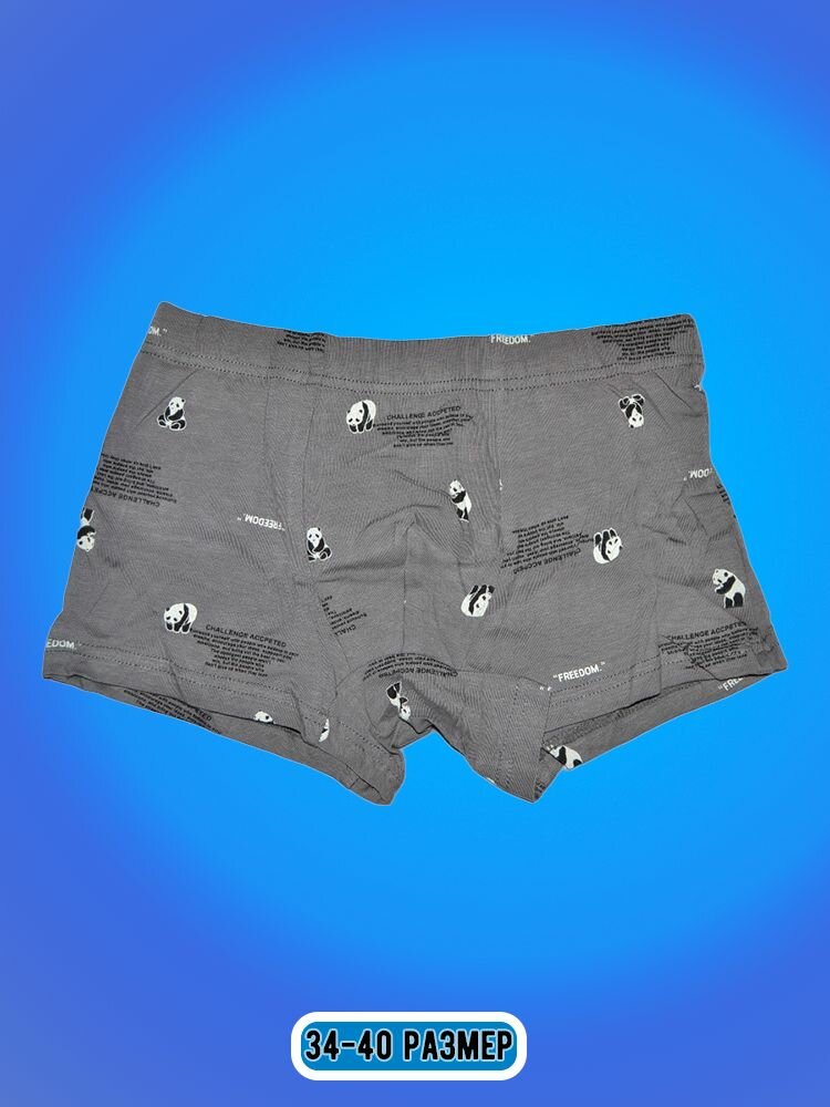 Трусы Zevs, 2 шт., размер L, серый — фото 1