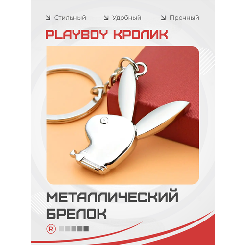 фото Брелок remove, серебристый