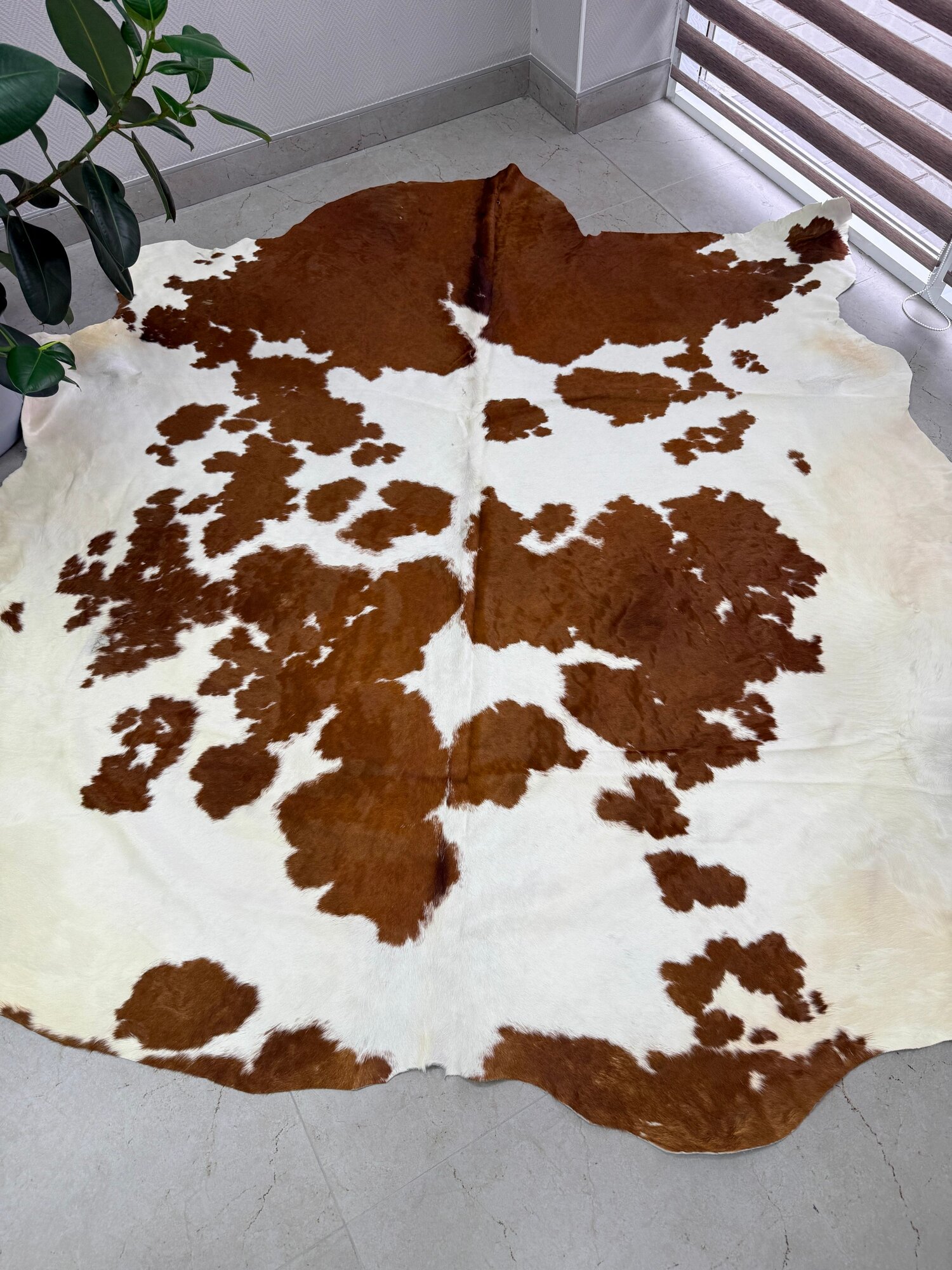 Коровья шкура на пол натуральная. 200 х 190 см