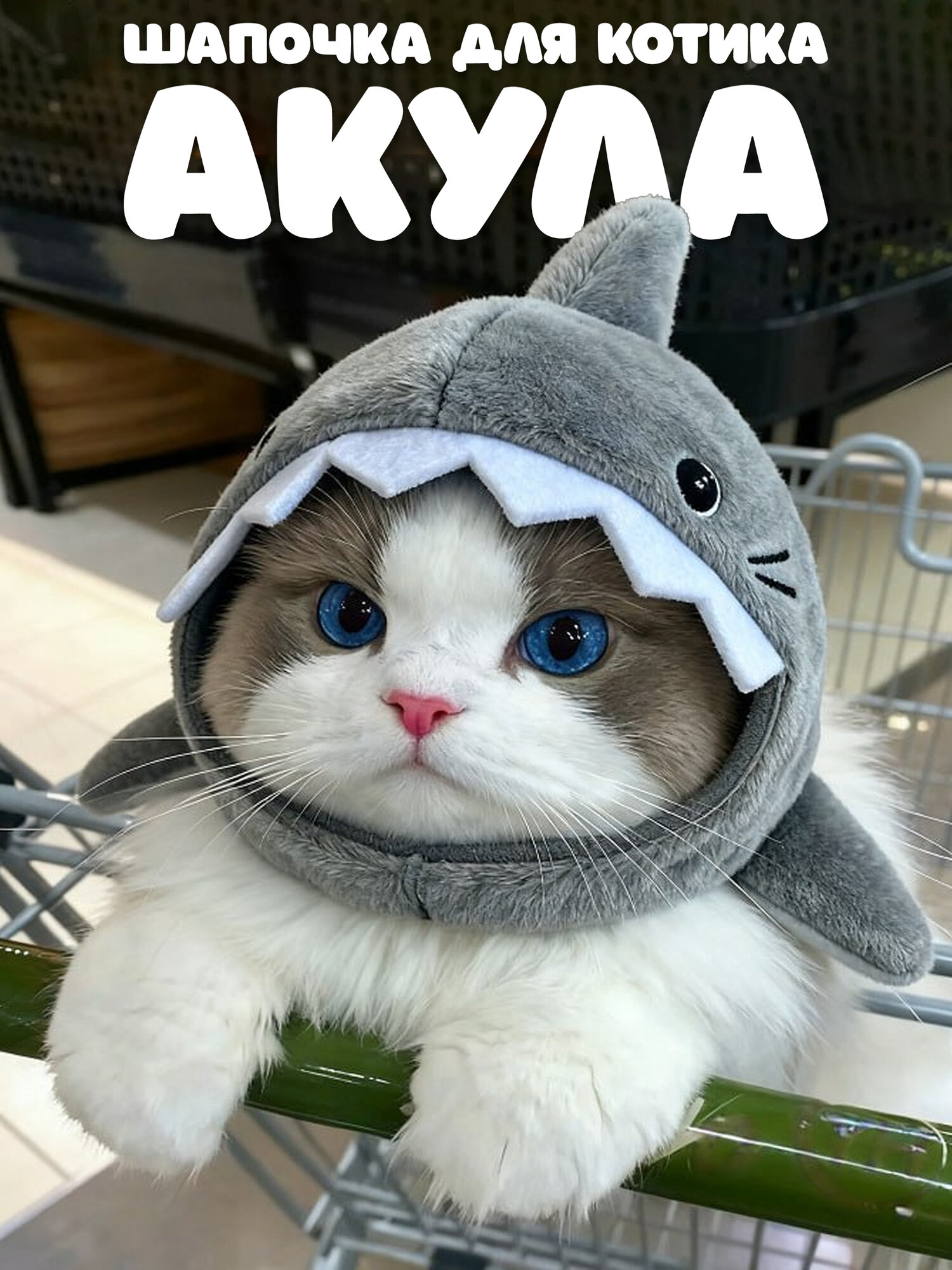 Одежда для животных мелких пород кошек Шапочка Акула