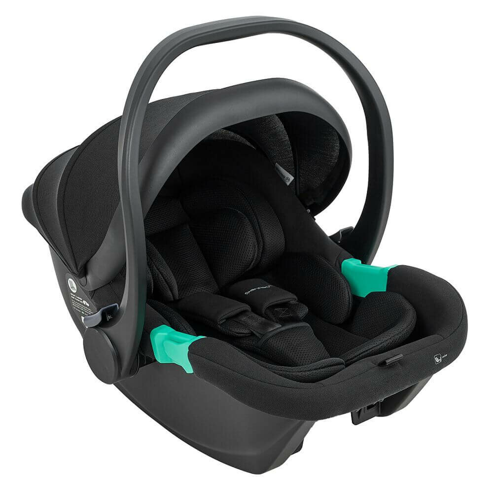 Pituso Santiso Pro AY377, автолюлька до 1 года гр.0 (0-13 кг), цвет Black