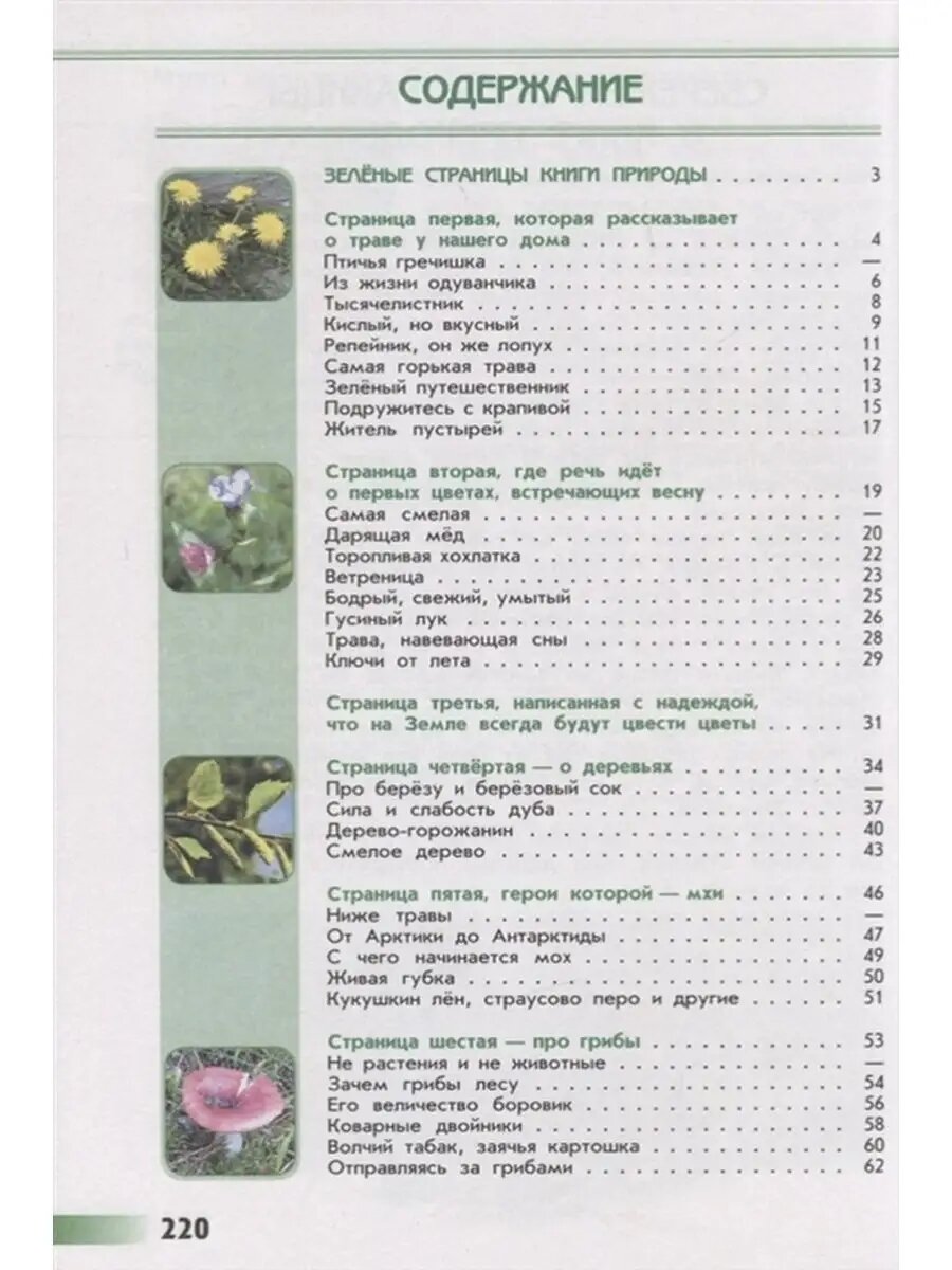 Зелёные страницы — фото 1