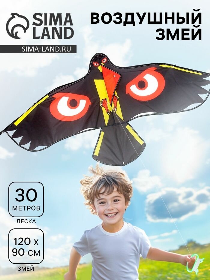 Воздушный змей Орёл с леской