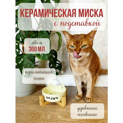 фото Миска qalla enjoy, керамика, бамбук, для грызунов, кошек, собак и хорьков, 300мл, желтая