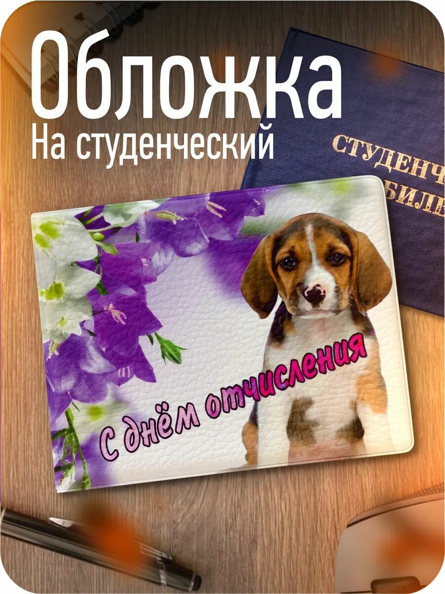 Обложка для студенческого билета 1-я Наклейка