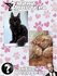 Мини постеры Котики