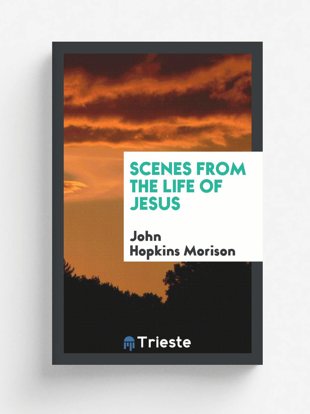 Scenes from the Life of Jesus