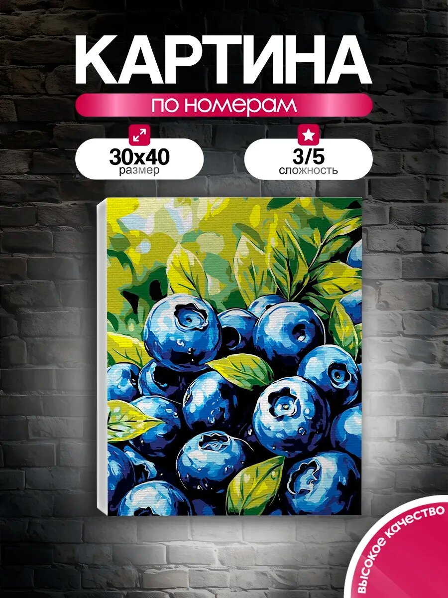 Картина по номерам 30x40 Спелая голубика