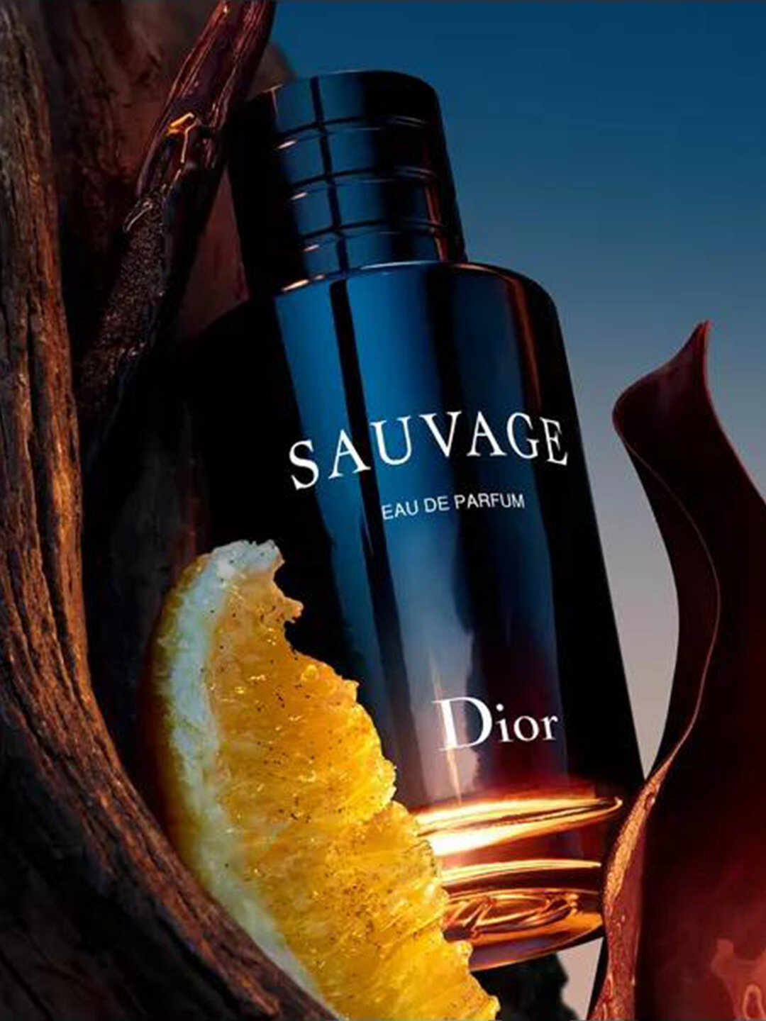 Духи мужские Sauvage, 100 мл — фото 1