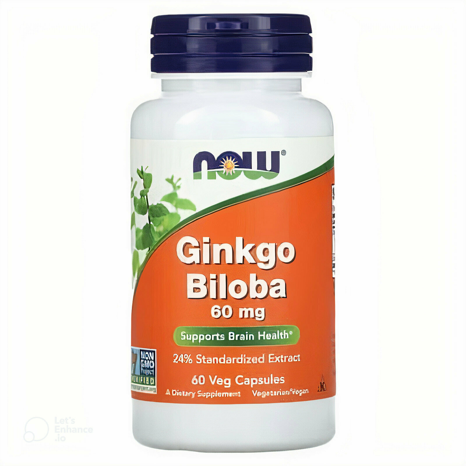 Гинкго Билоба 60 мг Now Foods, 60 капсул – для памяти и концентрации