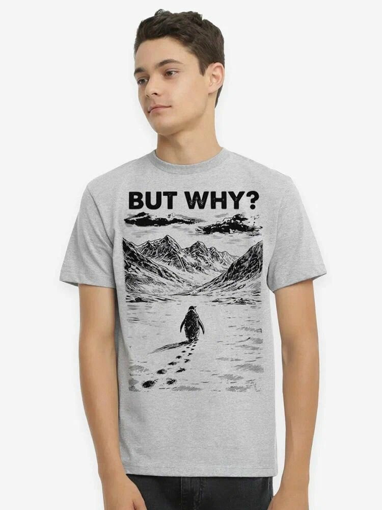 Футболка Одинокий Пингвин / Мужская