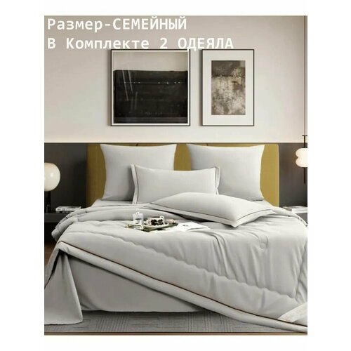 фото Постельное белье с одеялом бархатный сатин - размер семейный, 2 одеяла, 4 наволочки, подарочная сумка candie's