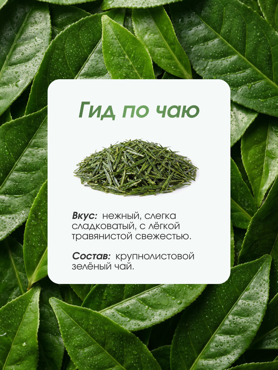 Чай зеленый "Сенча" 100 гр. Lum Tea, баланс вкуса и энергии природы — фото 1