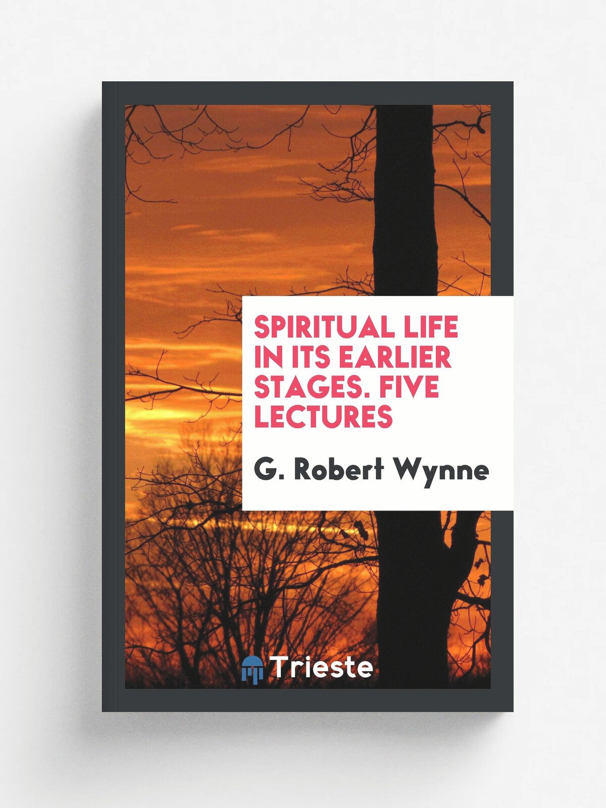 Spiritual life in its earlier stages. Five lectures