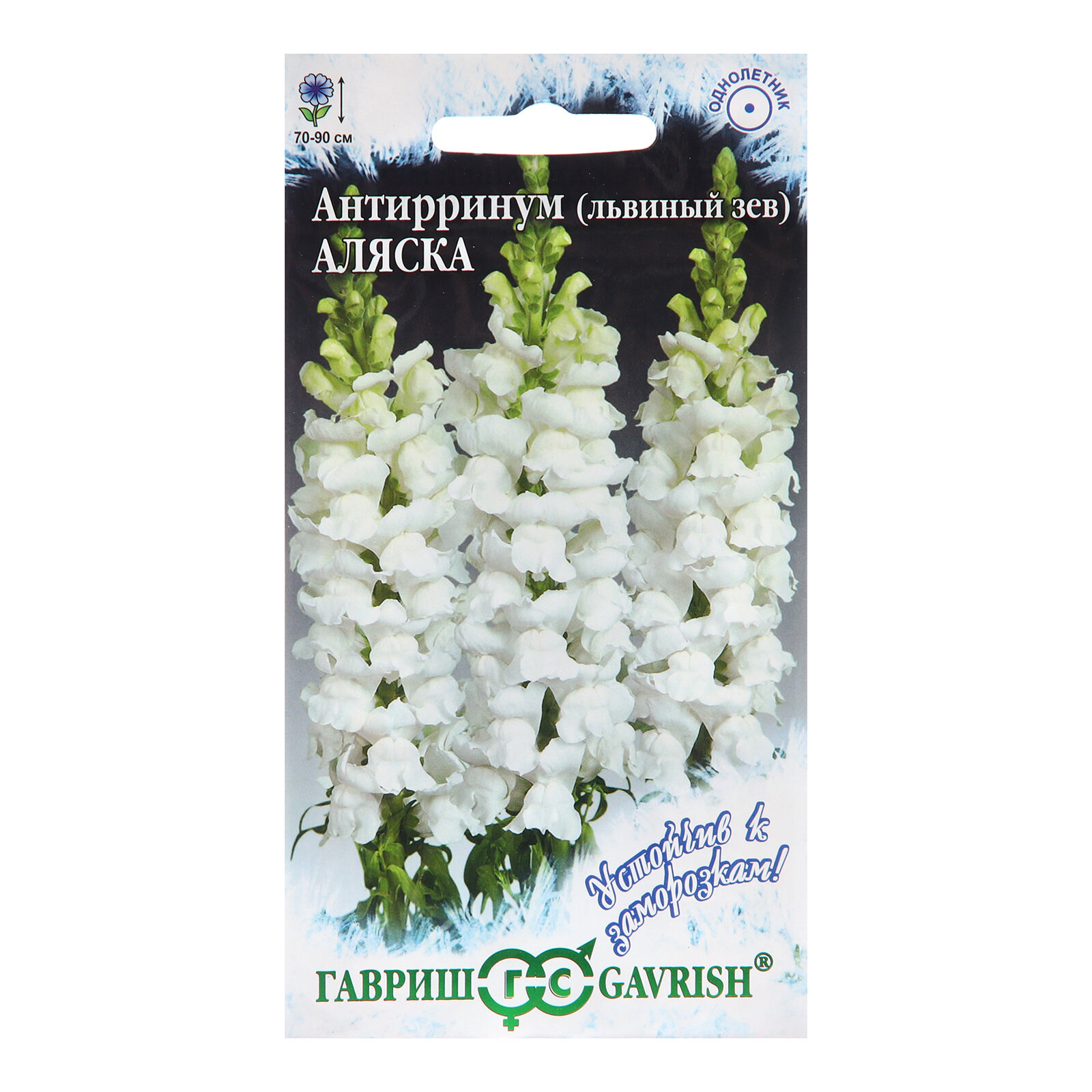 Семена цветов Антирринум Львиный зев. 6 упаковок