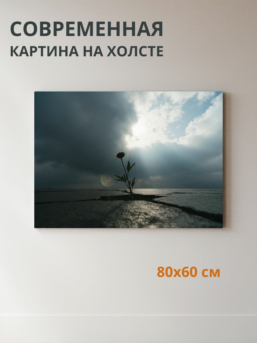 Картина на холсте Цветок 80x60 см