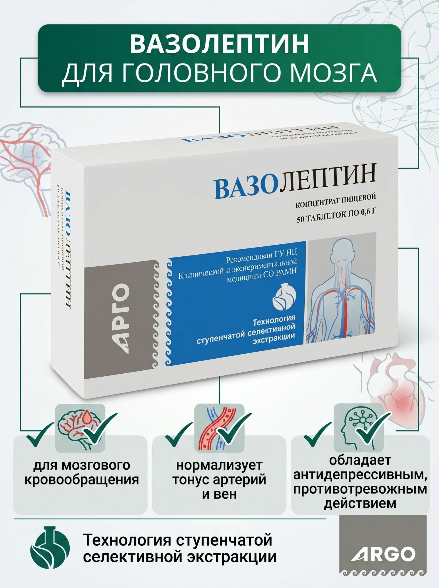 Вазолептин, таблетки, 50 шт, Апифарм, Арго. Для сосудов головного мозга, улучшает мозговое кровообращение, способствует нормализации артериального давления