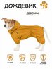 Дождевик для собак (девочка) горчичный