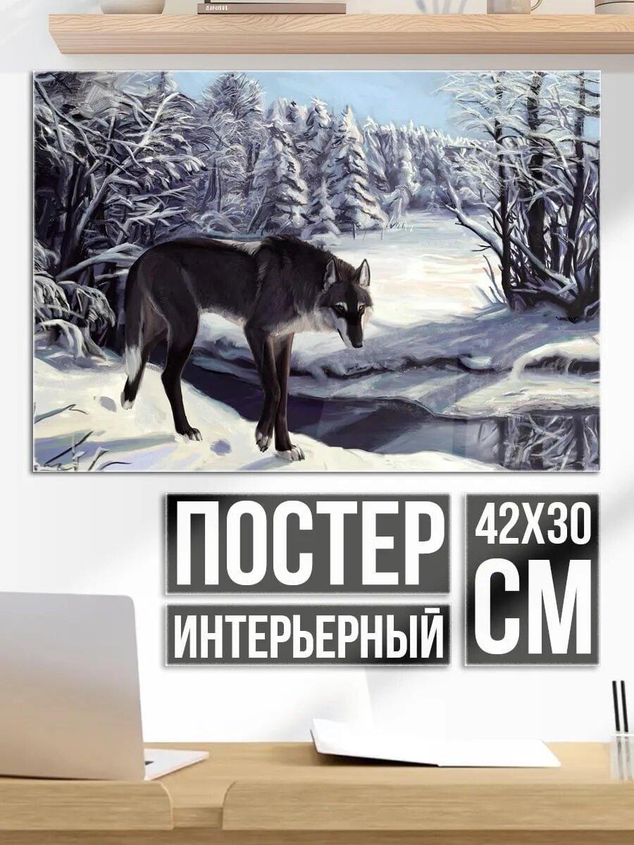 Плакат постер Волк зимой