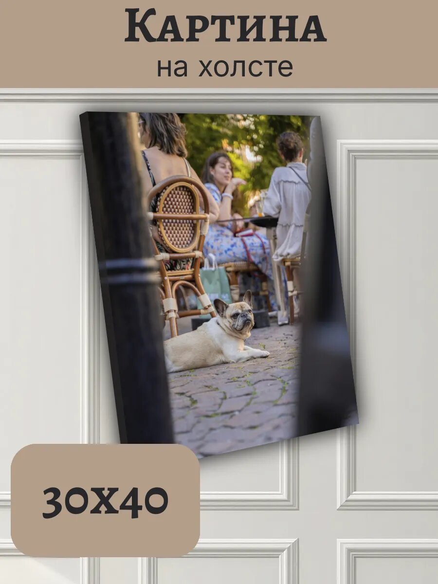 Картина Постер Франция France 30x40 французский бульдог кафе