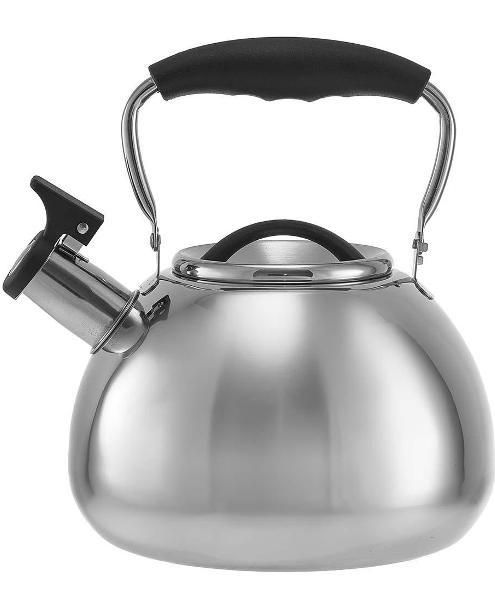 Чайник для плит Alpenkok AK-549