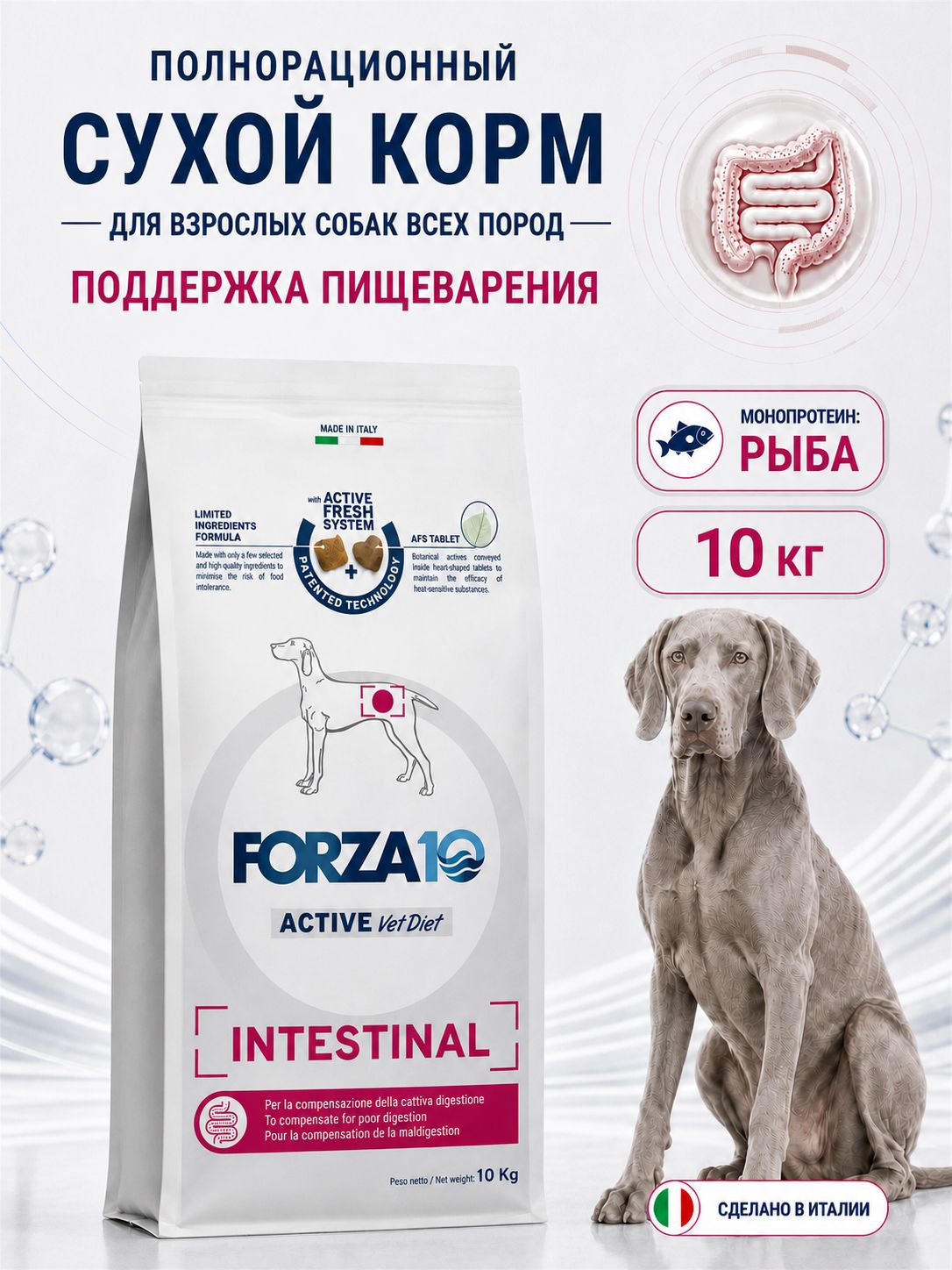Сухой корм FORZA10 INTESTINAL ACTIVE для взрослых собак всех пород при нарушениях работы ЖКТ, 10 кг