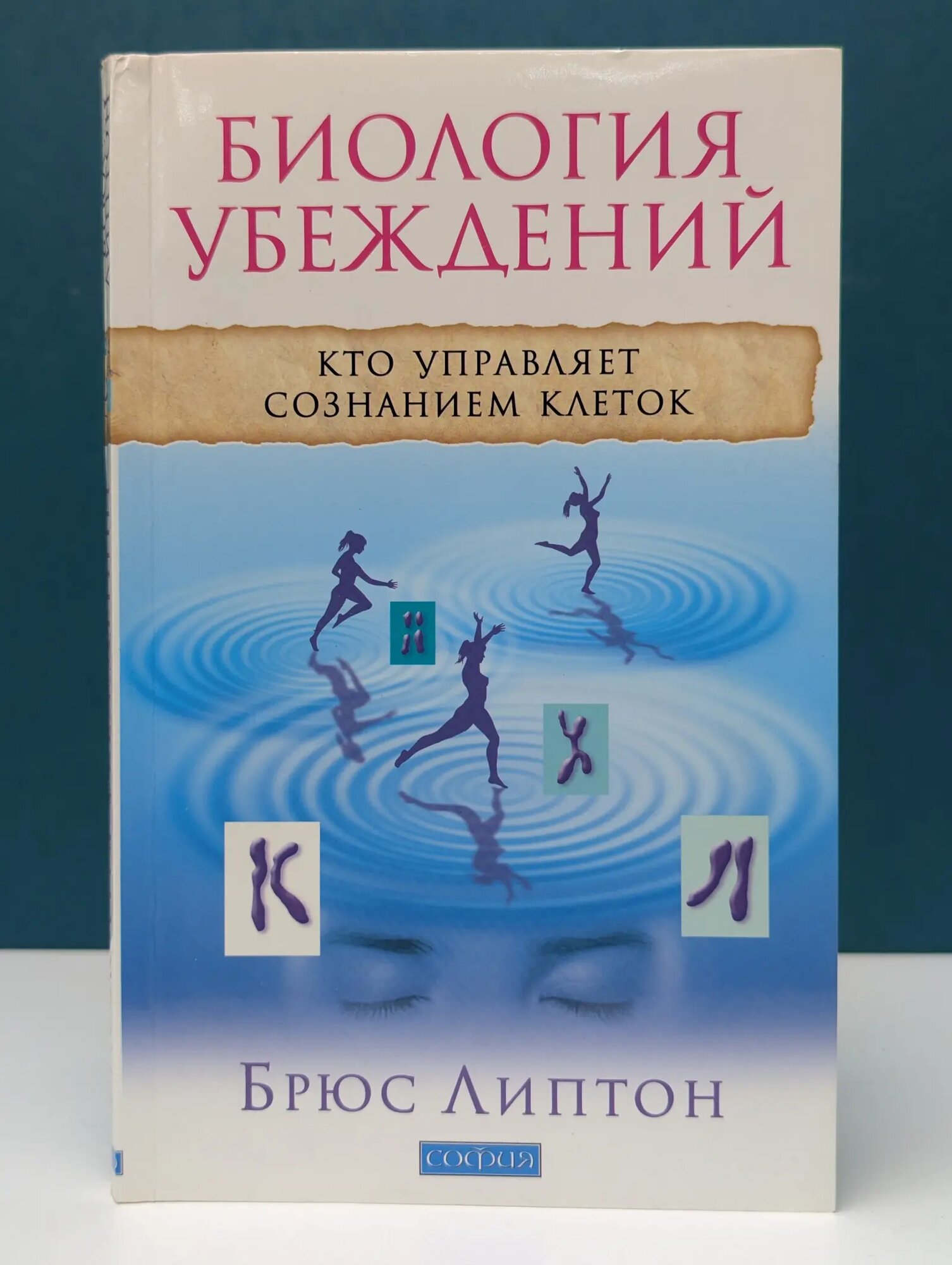 Биология убеждений. Кто управляет сознанием клеток Липтон Брюс 2010