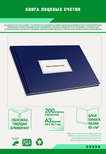 Изображение товара Книга лицевых счетов (формат А3) 200 страниц Твердый