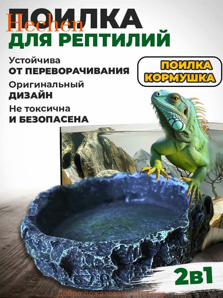 Кормушка - поилка для рептилий №6