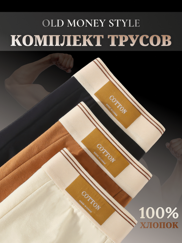 Изображение товара Трусы  Old Money, комплект