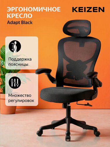 Изображение товара Компьютерное кресло KEIZEN Adapt, ортопедическое, с поясничным упором, ткань сетка, черный