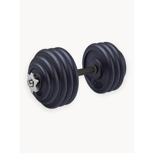 Гантель разборная чугунная 40 кг Voitto - d31, Комплектация №1 с обрезиненной ручкой