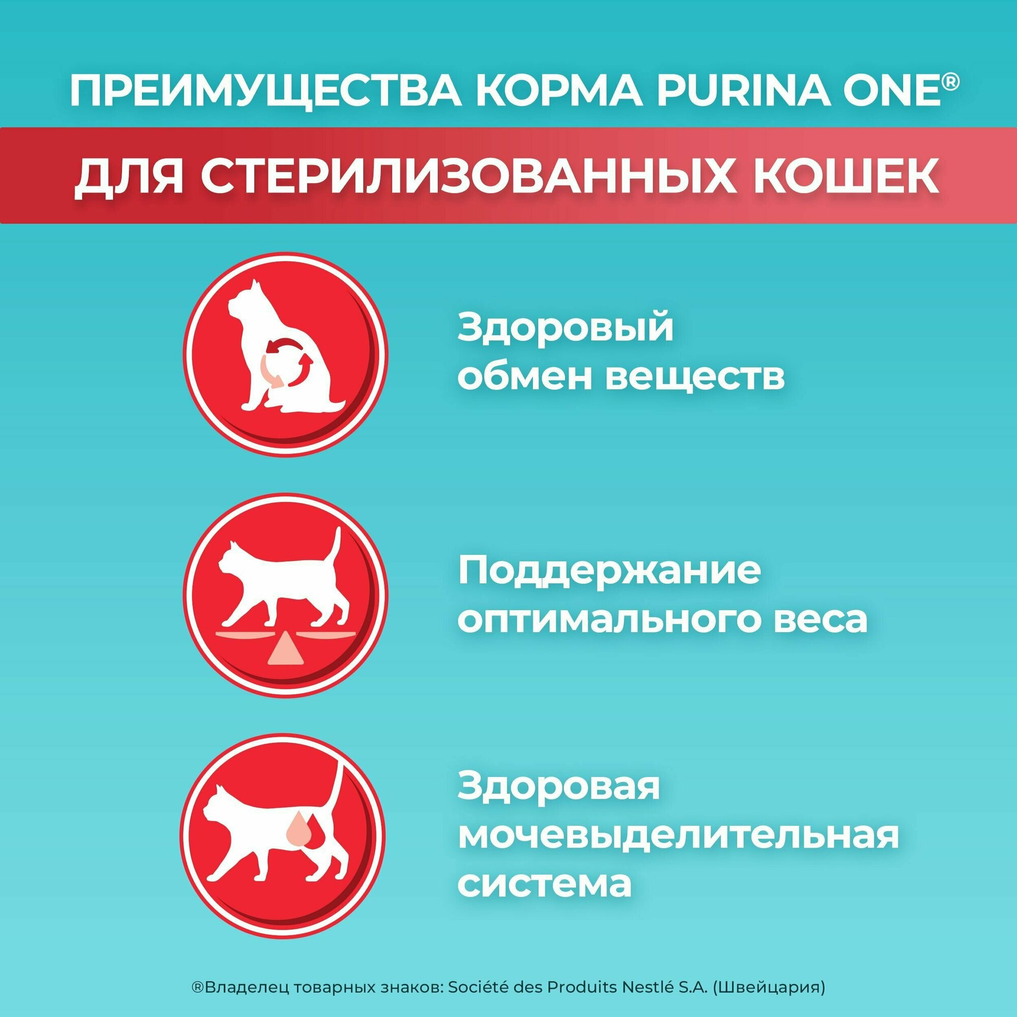 Сухой корм Purina ONE для стерилизованных кошек и котов с лососем и пшеницей, пакет, 1,5 кг, 6 шт - фотография № 18