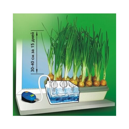 Электрический лоток домашний выращиватель зелёного лука луковая Грядка original