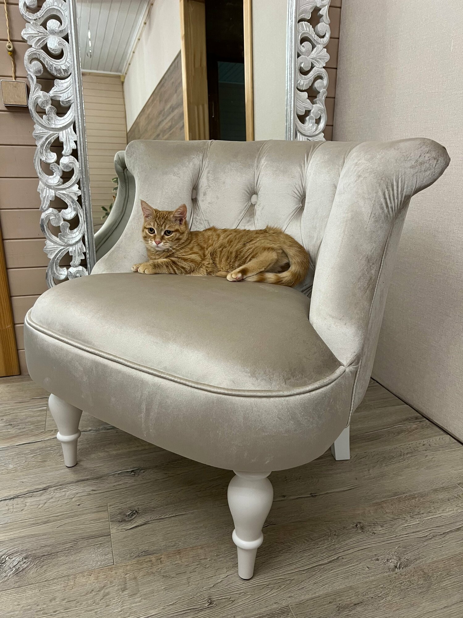 фото Кресло мягкое для отдыха дома