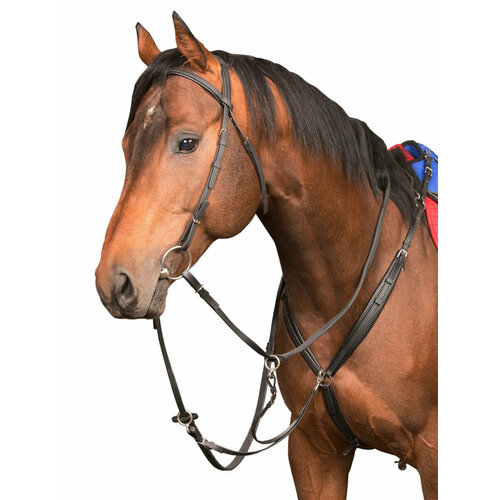 Sweet horse / Сет - оголовье + повод + мартингал для лошадей